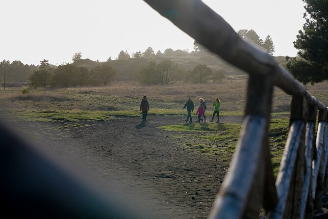 From Catania: Private mt. Etna trekking and pic-nic - Timing and pickup in Catania, how to plan your morning