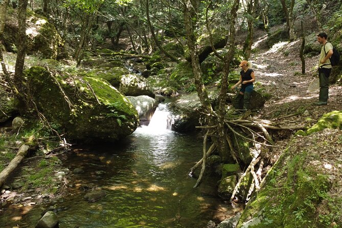 From Catania, Syracuse and Taormina: fly fishing experience - Why Fly Fishing in Appennino Siculo Feels Like a Real Day Out