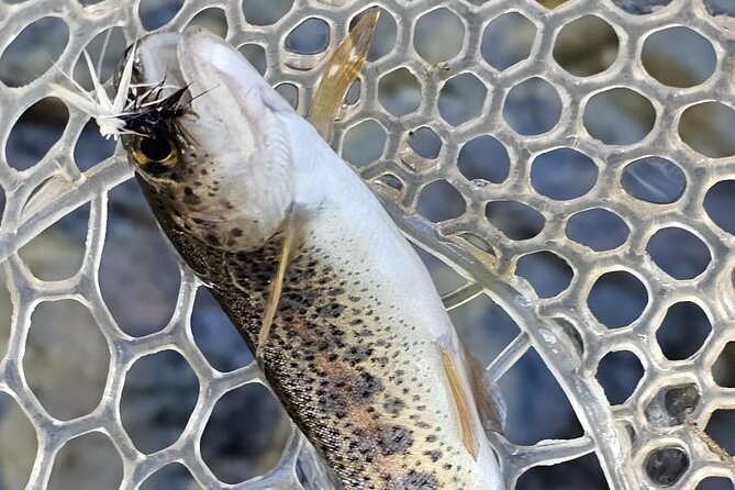 From Catania, Syracuse and Taormina: fly fishing experience - Coaching Style: Hands-On Instruction for a Tiny Group