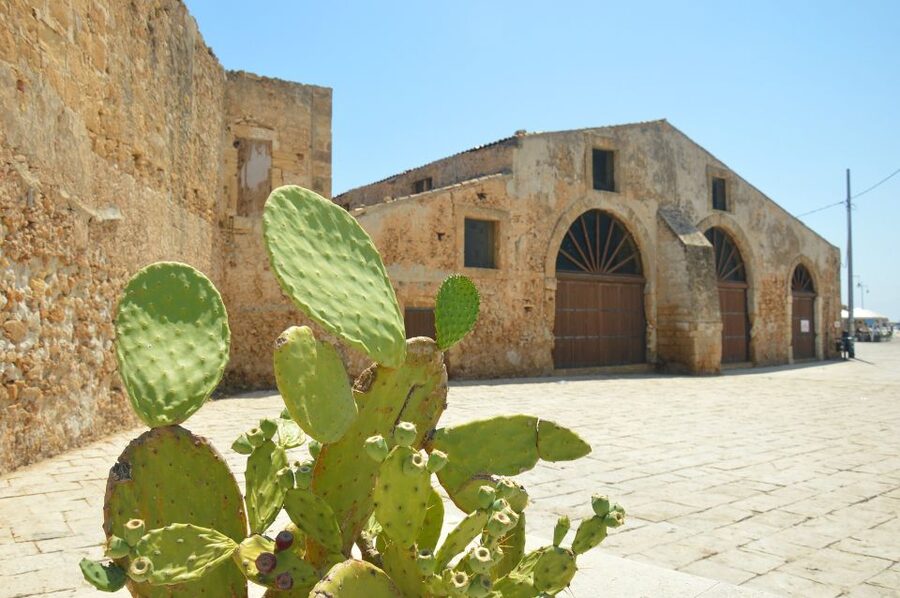 From Catania: Syracuse, Ortigia & Marzamemi Full-day Tour - Marzamemi: tuna-plant ruins, a sea-facing village, and an easy stroll by the water