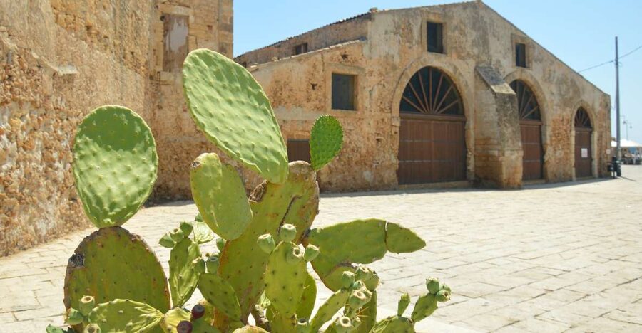 From Catania: Syracuse, Ortigia & Marzamemi Full-day Tour - Where you start in Catania, and how the day really moves