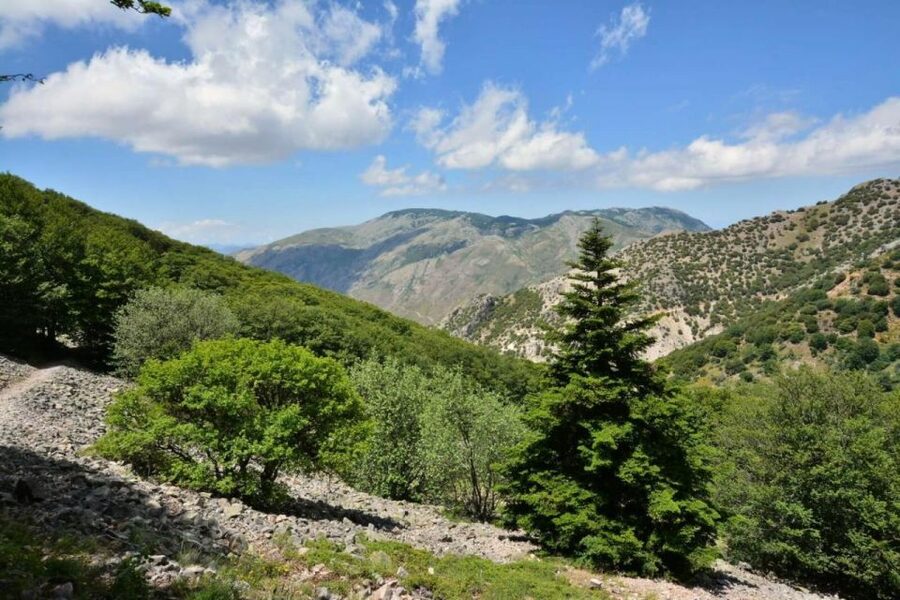 From Cefalù: Authentic Sicilian Villages and Happy Hour - Gratteri at 657 meters: aperitif time plus panoramic Tyrrhenian coast views