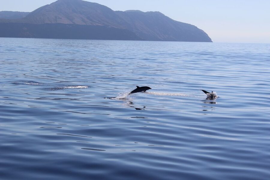 From Cefalù: Salina, Panarea, Stromboli Tour with Boat Ride - Stromboli After Dark: Sciara del Fuoco Views From the Sea