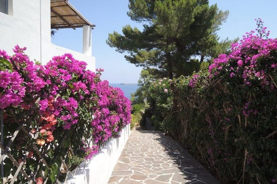 From Lipari: Panarea and Stromboli Cruise with Stops - Tips That Actually Help You Enjoy the Day