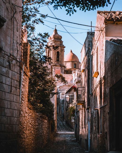 From Palermo: Day Trip to Erice, Segesta and Salt Pans - Segesta archaeological park: choosing the right ticket moments