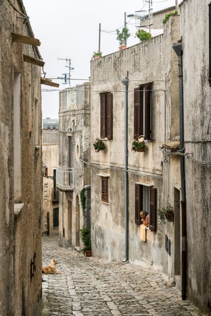 From Palermo: Day Trip to Erice, Segesta and Salt Pans - Timing, tickets, and the small surprises to plan for