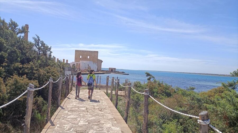 From Siracusa: Vendicari Nature Reserve Guided Tour - A half-day birdwalk from Piazza del Pantheon