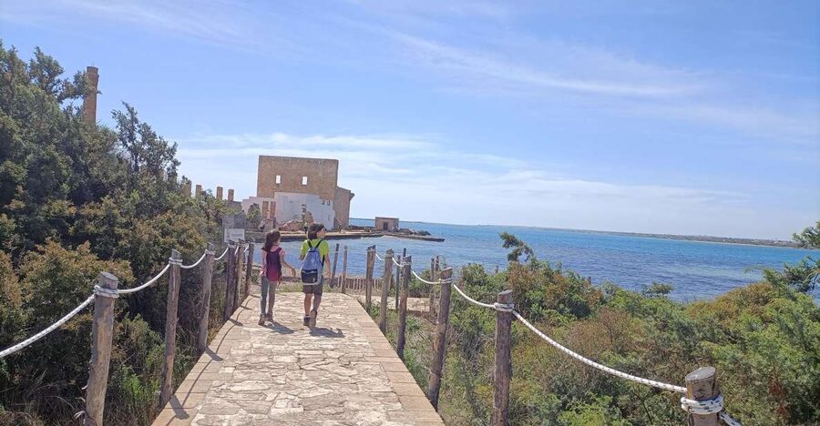 From Siracusa: Vendicari Nature Reserve Guided Tour - Wetlands and birds: spotting scopes that actually help