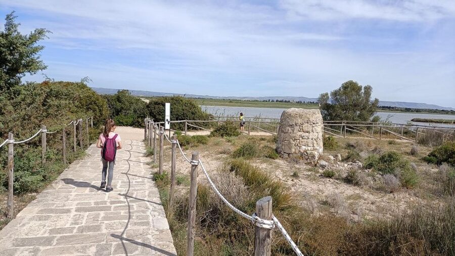 From Siracusa: Vendicari Nature Reserve Guided Tour - The easy coastal path through dunes and plant life