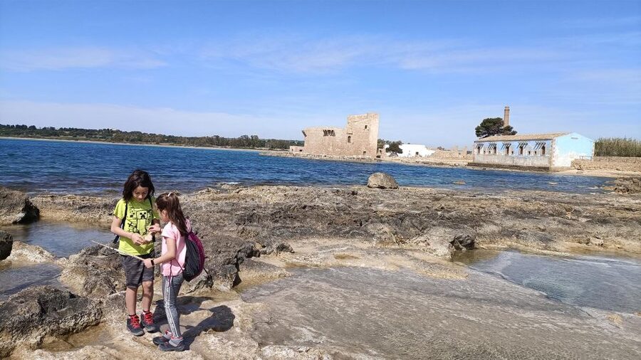 From Siracusa: Vendicari Nature Reserve Guided Tour - The van ride to Vendicari, and what the guide sets up