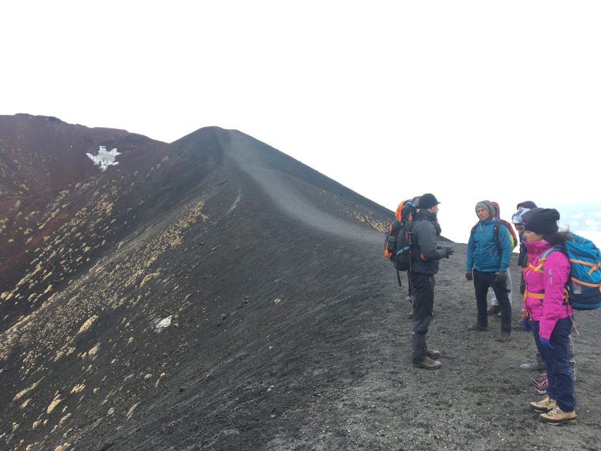 From Syracuse: Etna Tour with Light Lunch and Wine Tasting - From Ortigia to Etna: the easy logistics that set the tone