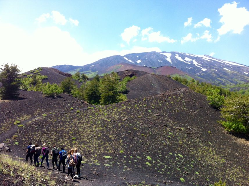From Syracuse: Etna Tour with Light Lunch and Wine Tasting - The southern slope trek: walking at the right altitude level