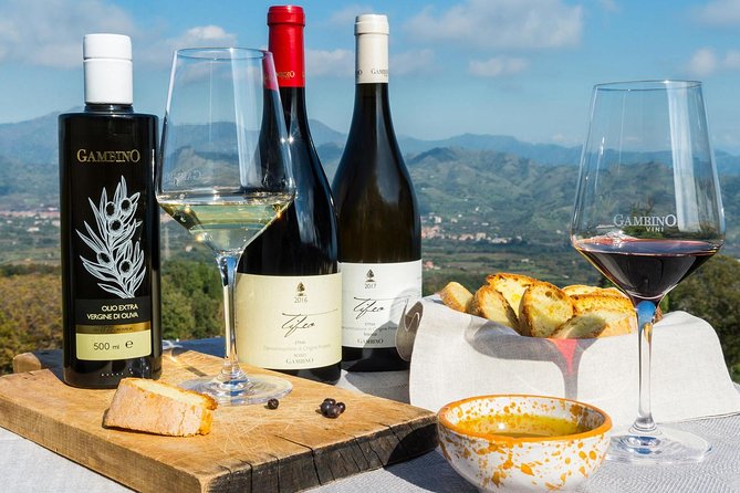 From Syracuse: Private Tour Mount Etna with Lunch at Etna Winery - Zafferana Flavor to Etna Wine: Winery Tour, Cellars, and Tasting
