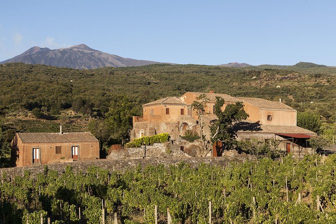 From Syracuse: Private Tour of Three Etna Wineries with food - What to bring, and what to expect on the ground