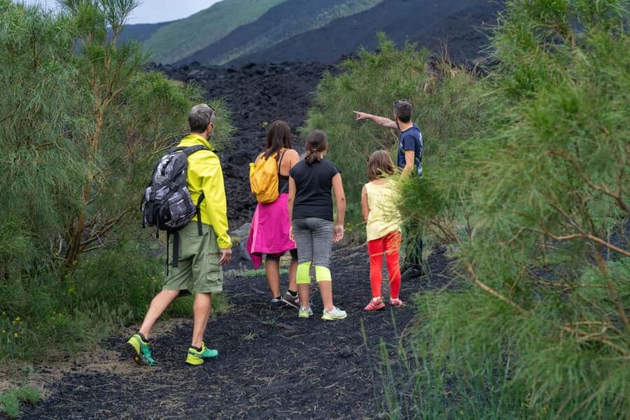 From Taormina: Etna Tour with Hiking, Cave Visit, & Tastings - The crater hike: seeing Etna’s past up close