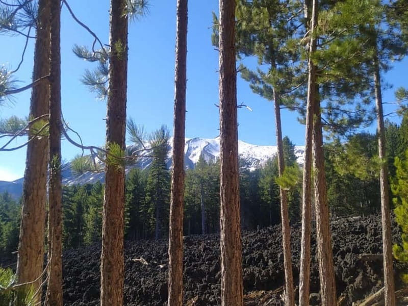 From Taormina: Etna Walking Tour and Wine Tasting in Winery - Etna from Taormina, the smart way to do it