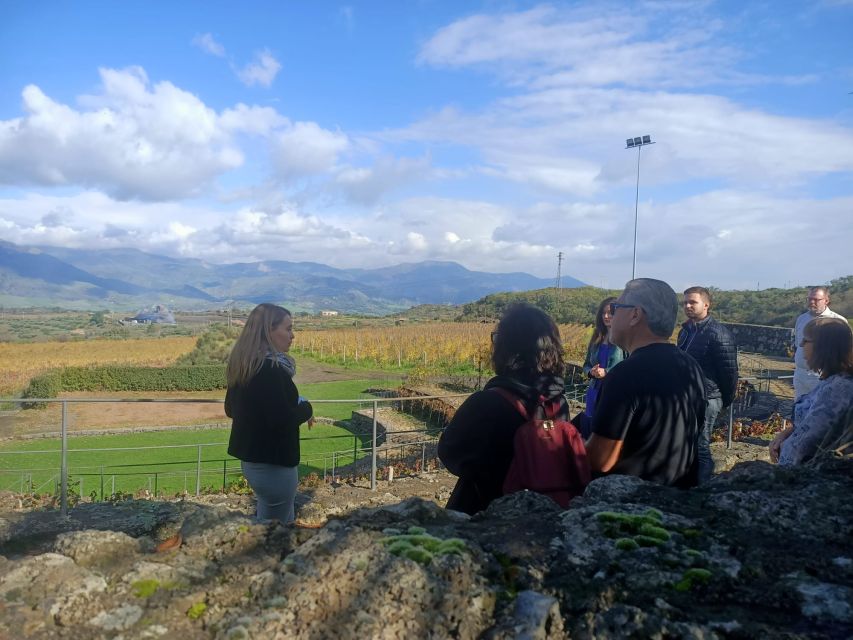 From Taormina: Etna Wineries Small Group Tour - Key highlights and what they mean for your day
