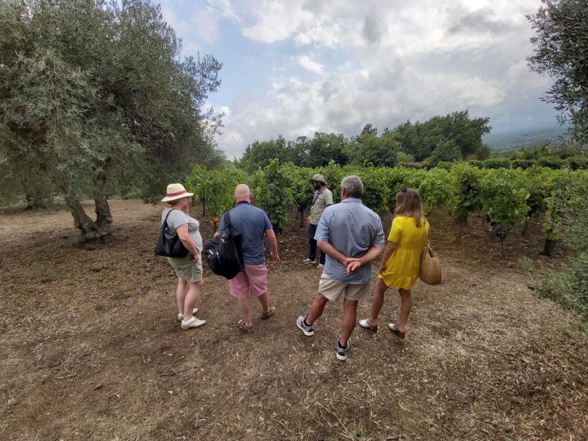 From Taormina: Etna Wineries Small Group Tour - Winery #1: Etna wines with vineyard views and a local aperitif