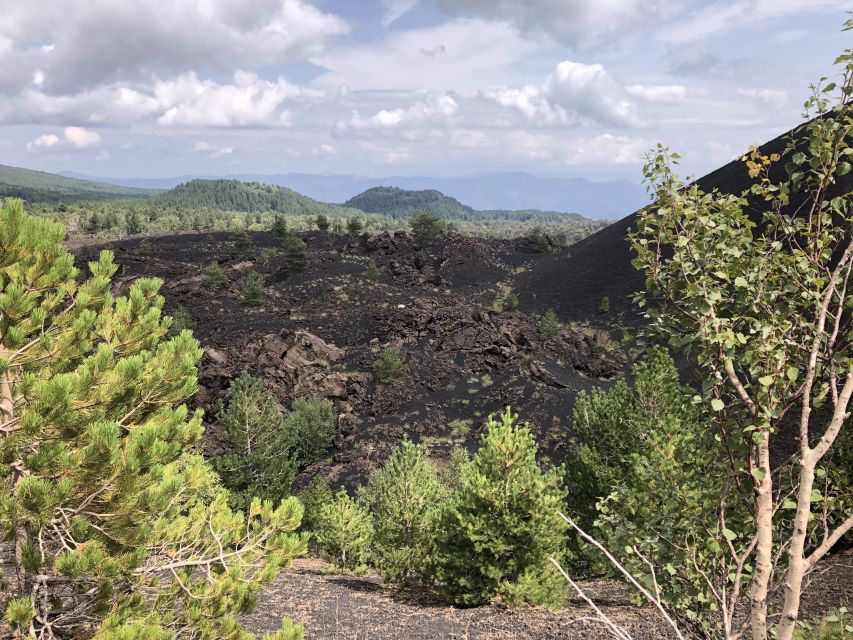 From Taormina: Full-Day Etna, Wine & Alcantara Canyons Tour - Winery lunch and Etna wine tasting: food that breaks up the action