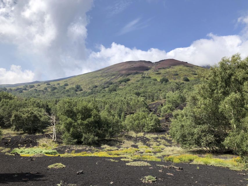From Taormina: Full-Day Etna, Wine & Alcantara Canyons Tour - Price and value: what $116.68 is buying you