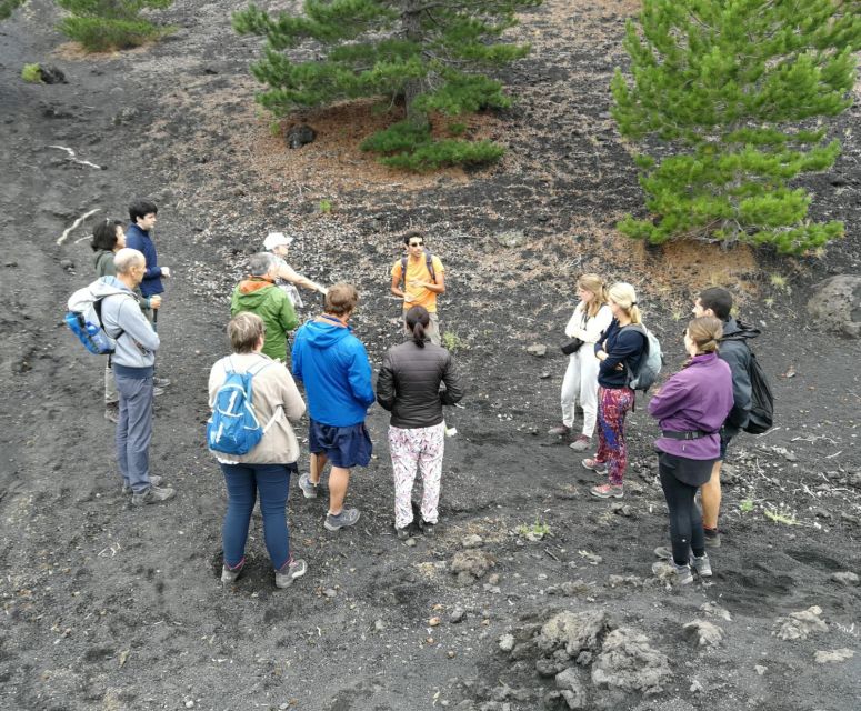 From Taormina: Full-Day Etna, Wine & Alcantara Canyons Tour - Hotel pickup, van comfort, and how the day starts