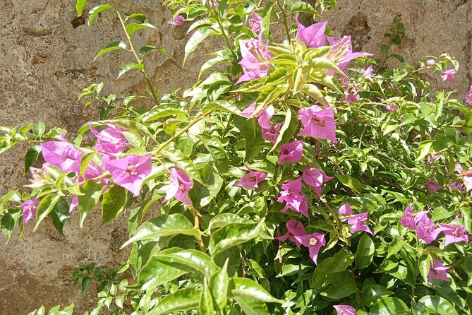 From Taormina Godfather Private Tour Forza D'Agrò and Savoca - Key highlights that make this tour work