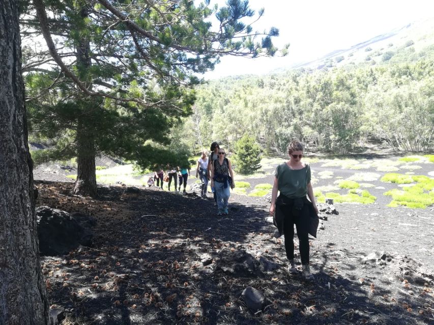 From Taormina: Half-Day Mount Etna Morning Trek - Group size, pacing, and who should go