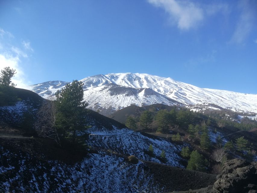From Taormina: Half-Day Mount Etna Morning Trek - When weather turns, your guide makes the difference