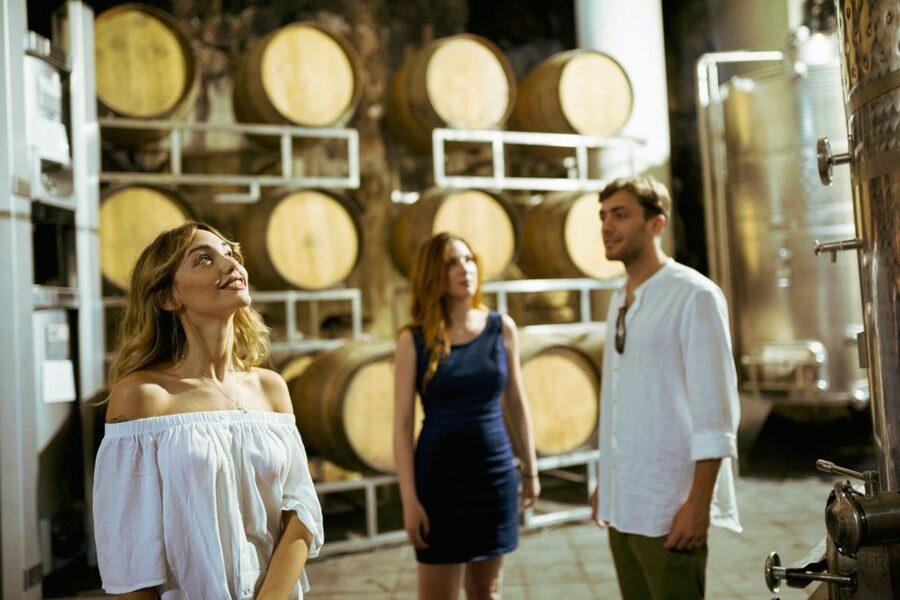 From Taormina: Mount Etna Food and Wine Tasting Tour - Should you book this Mount Etna food and wine tasting from Taormina?