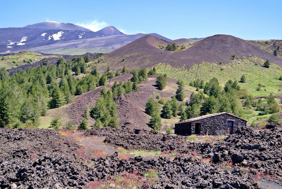 From Taormina: Mount Etna Guided Bus Tour - The 1,900m Arrival at Piano Provenzana and Your 2.5-Hour Walk