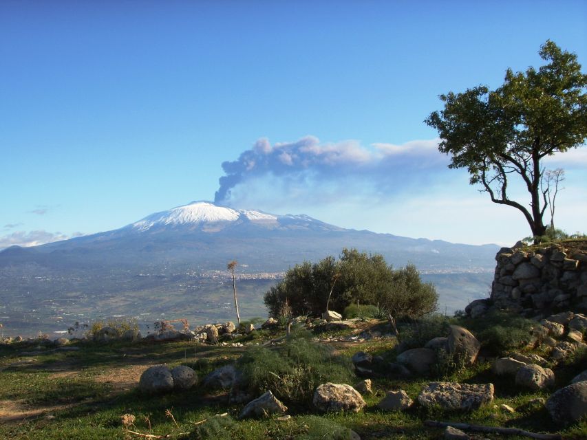 From Taormina: Mount Etna Guided Bus Tour - Optional Higher Altitude Access: Authorized Limits and Ticket Costs On Site