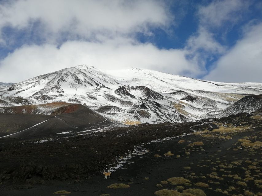 From Taormina or Catania: Private Full-Day Mount Etna Hike - Key things that make this Etna hike worth your time