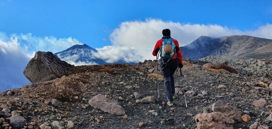 From Taormina or Catania: Private Full-Day Mount Etna Hike - Valle del Bove caldera viewpoints and summit crater scenery