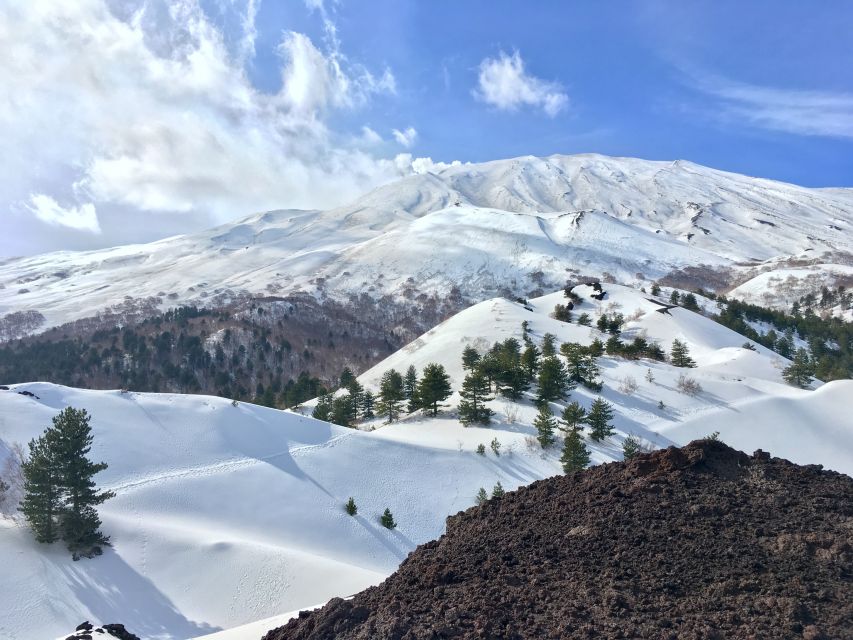 From Taormina or Catania: Private Full-Day Mount Etna Hike - What to bring, and what will trip you up on volcanic ground