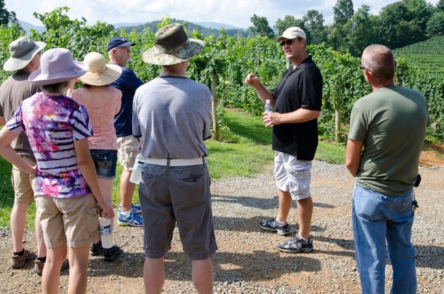 From Taormina: Private 3 Etna Wineries with Food & Wine - Why Etna wine tastes different before you even taste it