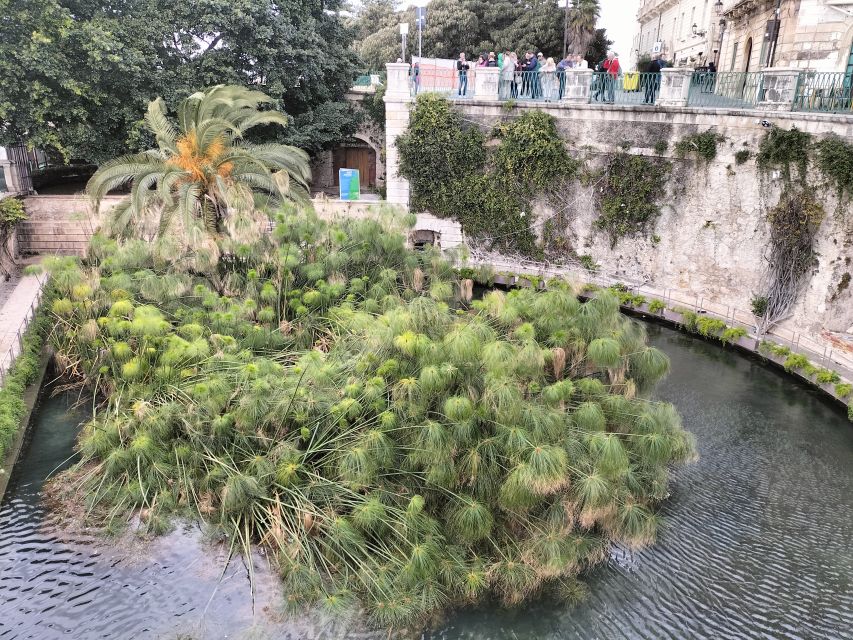 From Taormina: Siracusa & Noto Small-Group Tour - Ortigia Island Walking Tour: The Old Town You Feel, Not Just See