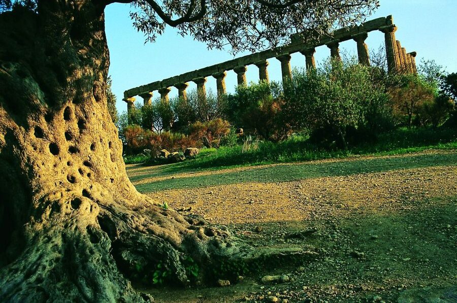 From Taormina: Valley of The Temples & Piazza Armerina Tour - Who this tour suits best, and who should skip it
