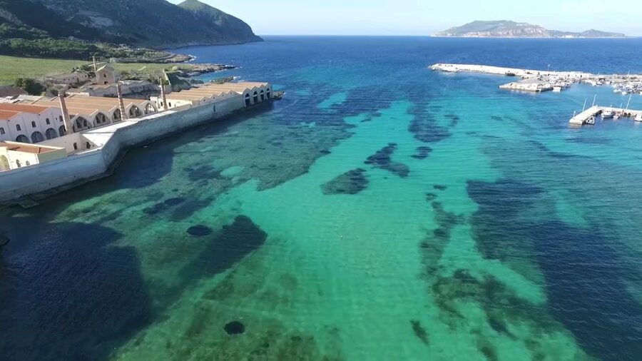 From Trapani: Day Cruise to Favignana & Levanzo with Lunch - The Cruising Segment: Creeks Like Cala Rossa and Cala Azzurra