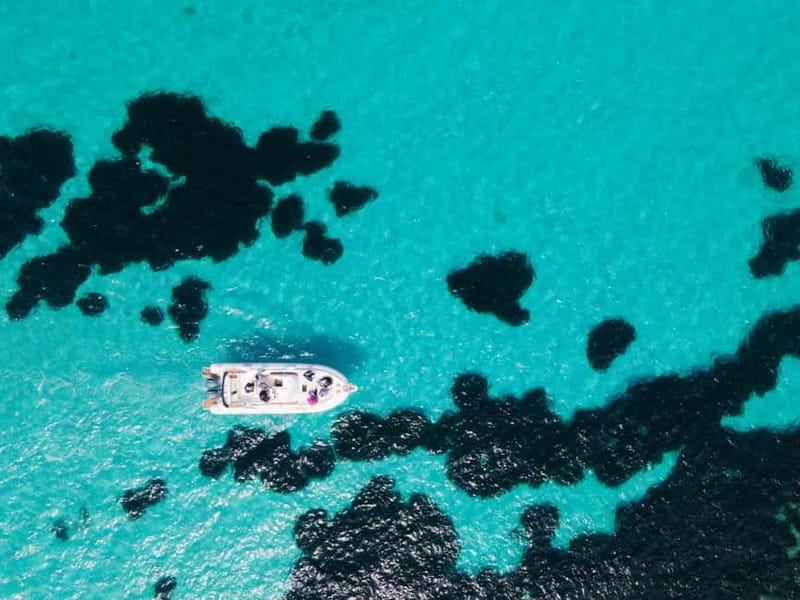 From Trapani: Egadi Islands Favignana & Levanzo Cruise - Key points you should care about