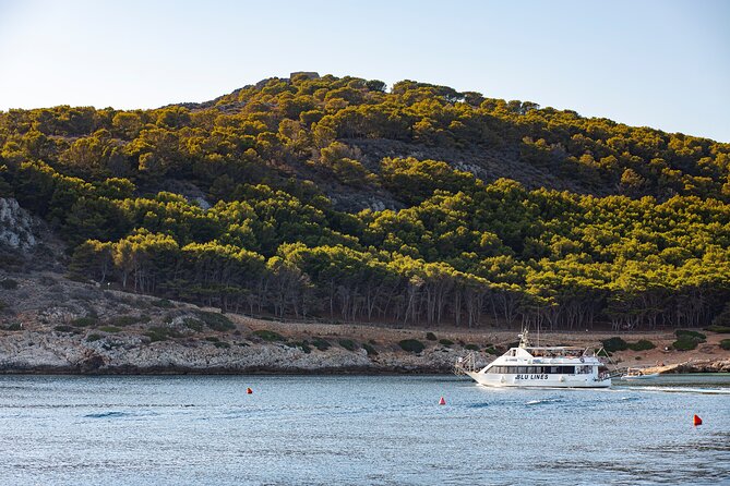 From Trapani: Egadi Islands tour with lunch on board - What the included lunch includes, and why it still matters