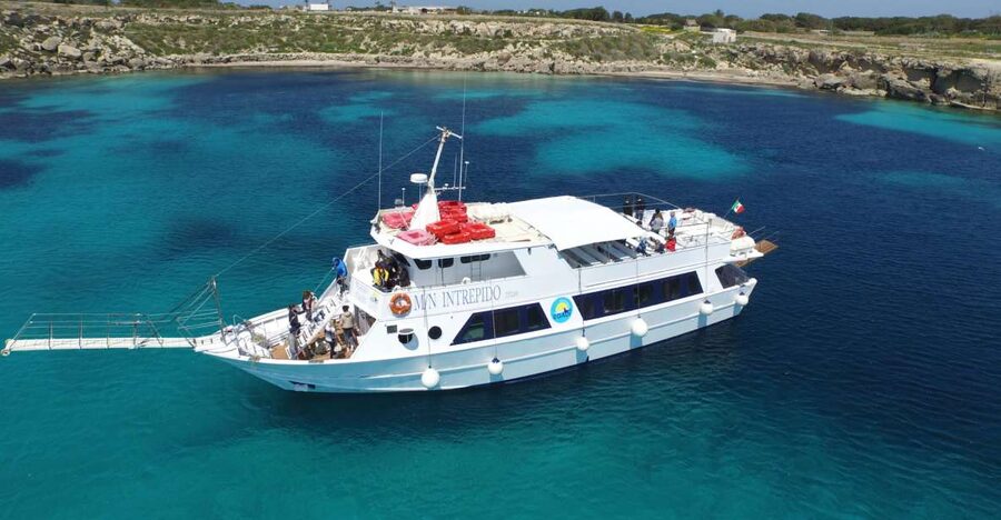 From Trapani: Full-Day Cruise to Favignana and Levanzo - Return Cruising and One More Swim Chance