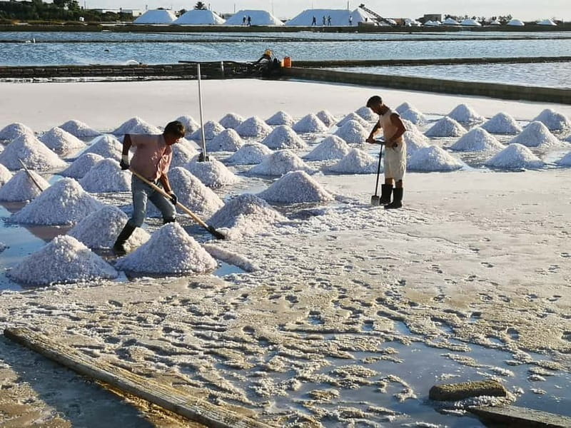 From Trapani: Salt Road Tour With Winery Visit and Boat Trip - The guide matters: what the Alessio experience adds to the day