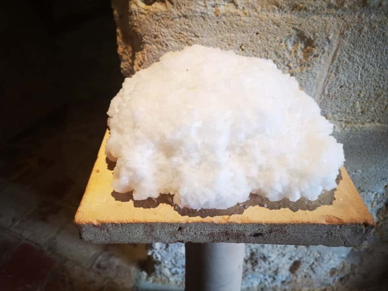 From Trapani: Salt Road Tour With Winery Visit and Boat Trip - What is included, and what you should budget for