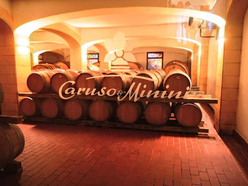 From Trapani: Salt Road Tour With Winery Visit and Boat Trip - Logistics in plain terms: timing, transport, and how the day flows