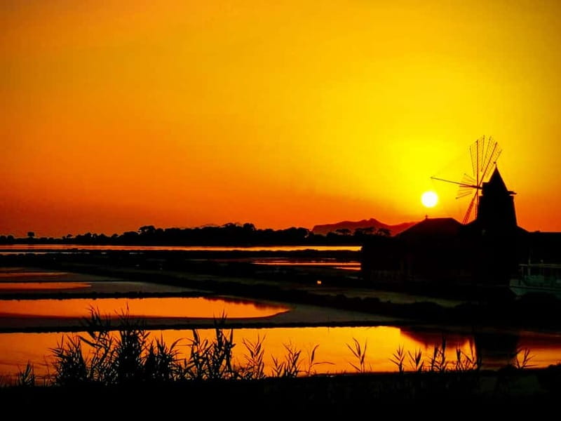 From Trapani: Salt Road Tour With Winery Visit and Boat Trip - Entering the winery world: Donnafugata, Florio, Caruso, Pellegrino, or Mininni