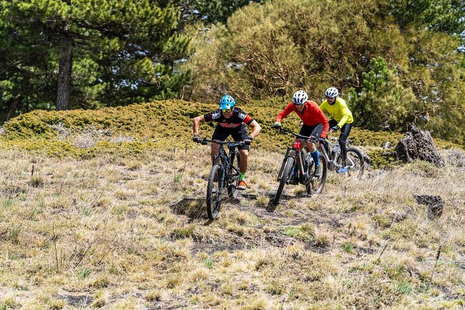 Full circuit of Etna by MTB small group - A full circuit of Mount Etna on an e-bike that actually fits the terrain
