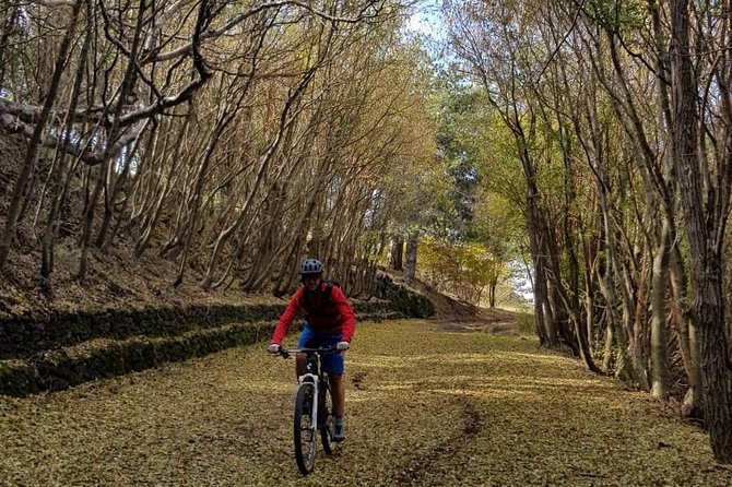 Full circuit of Etna by MTB small group - Stop 1: Mount Etna views, the big idea behind the whole ride
