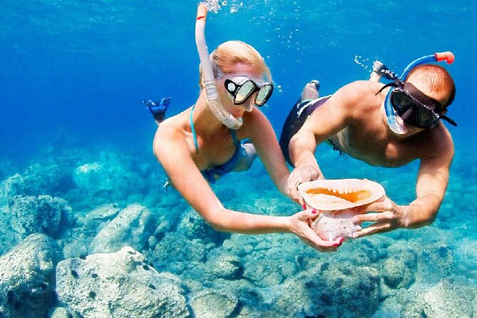 Full Day on board with lunch in luxury private tour - Weather shifts, timing reality, and how to plan your day