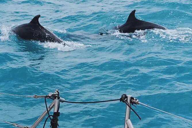 Full Day Sailing Tour Catania-Acitrezza - Guides and crew: why the day can feel friendly and personal