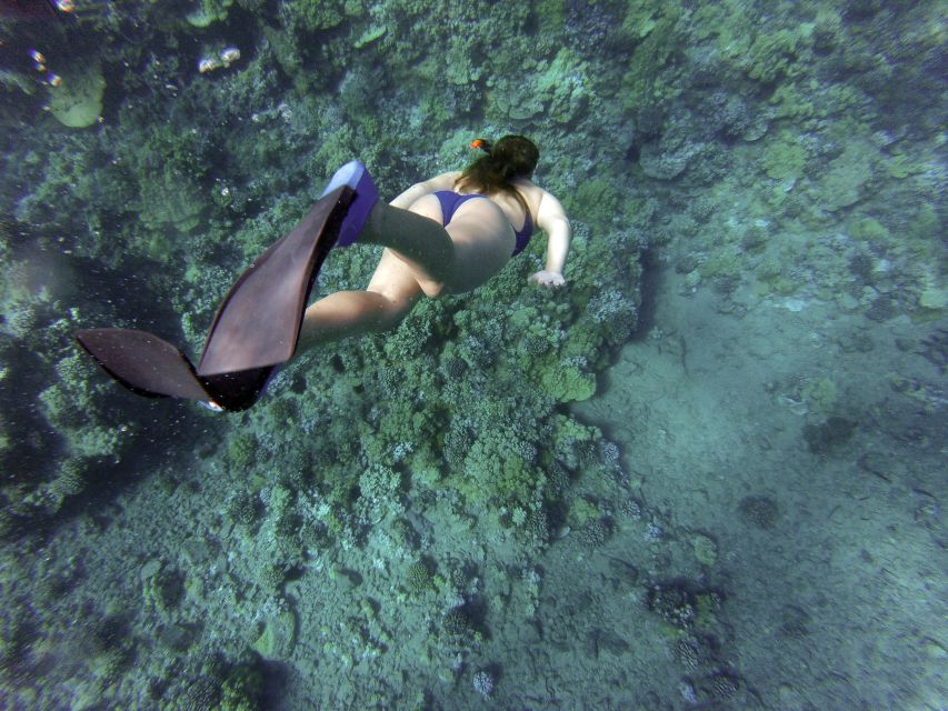 Giardini Naxos: Isola Bella Marine Park Snorkeling Cruise - Gear Provided: Easybreath Mask and a 3.5 mm Snorkel Suit